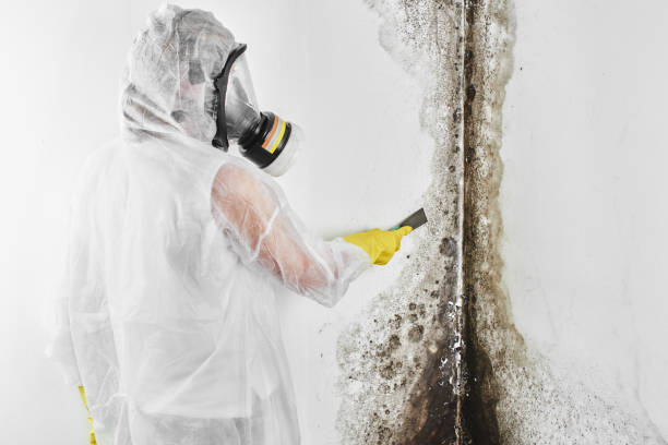 Goodman, MO Mold Removal Company